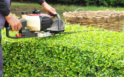 Danke an die fleißigen Jungs….