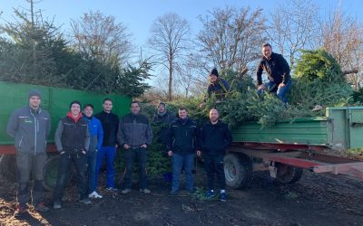 Wieder fleißige Tannenbaumsammler unterwegs!